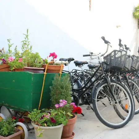 D'hotes La Virginie Bed & Breakfast
